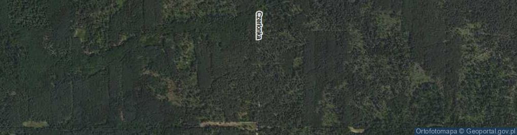 Zdjęcie satelitarne Czerlonka Leśna ul.